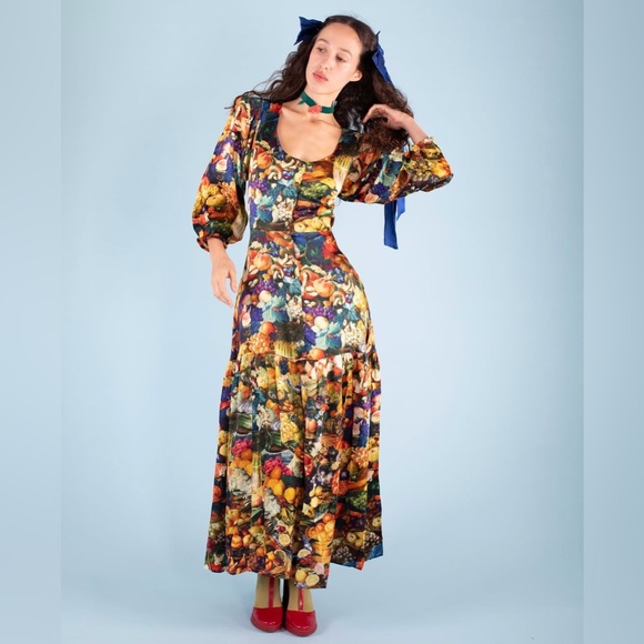 Samantha Pleet Dresses & Skirts - Samantha Pleet banquet dress in harvest print